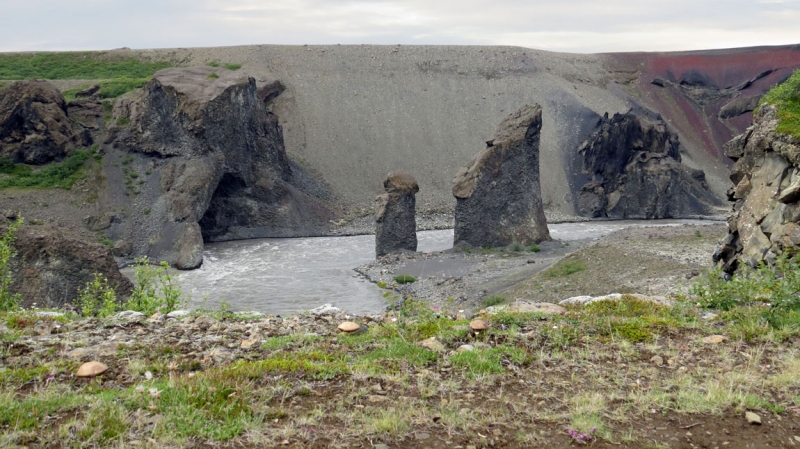 Остров Бекасов
