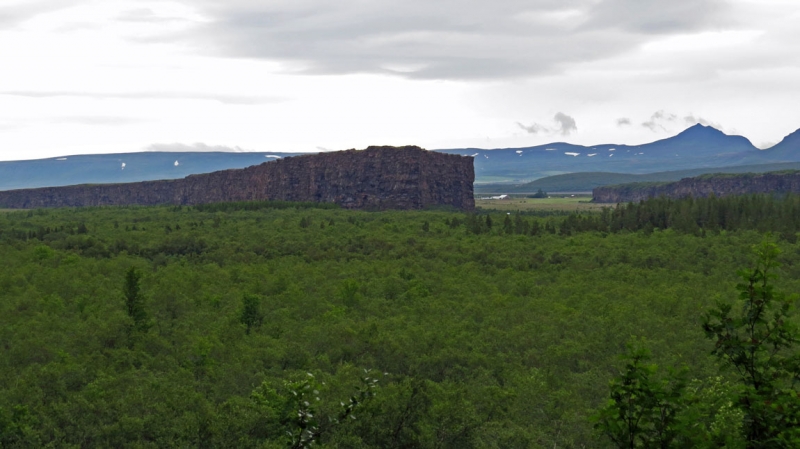 Остров Бекасов