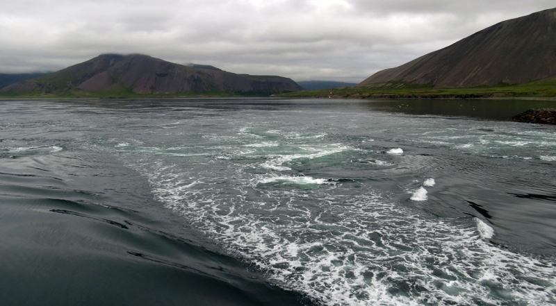 Остров Бекасов