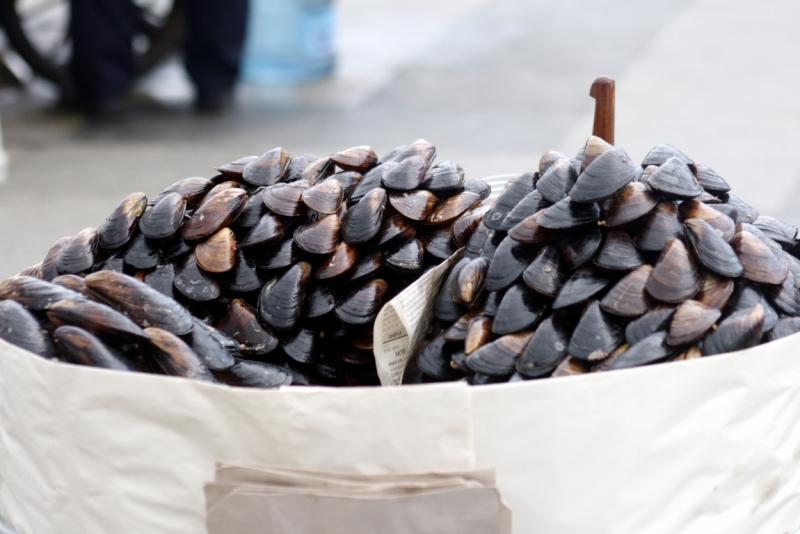 Константинополь – павшее величие.