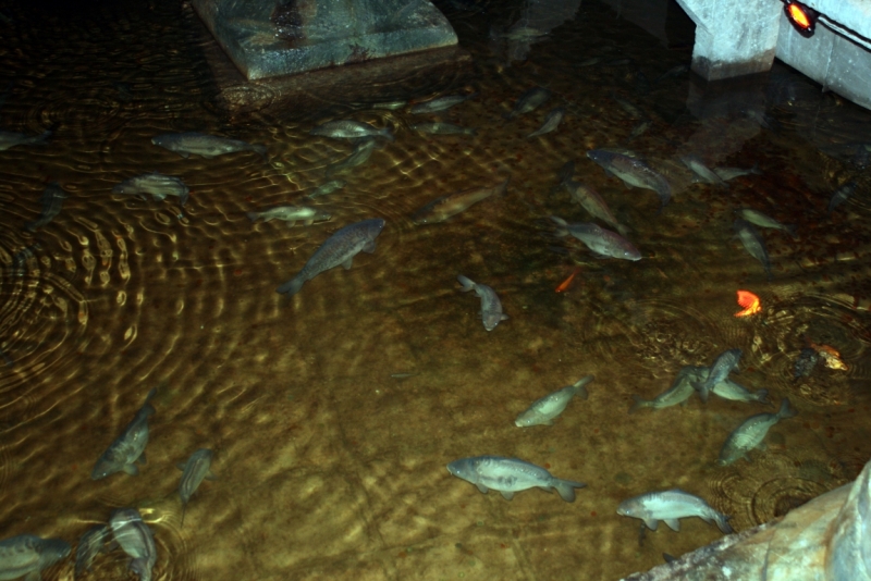 Константинополь – павшее величие.