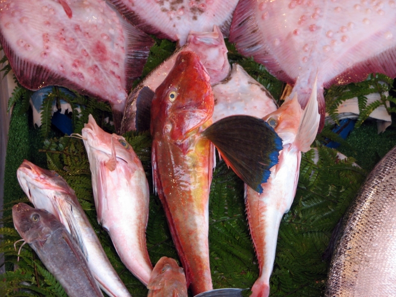 Константинополь – павшее величие.