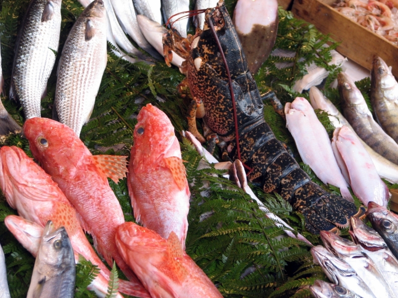 Константинополь – павшее величие.