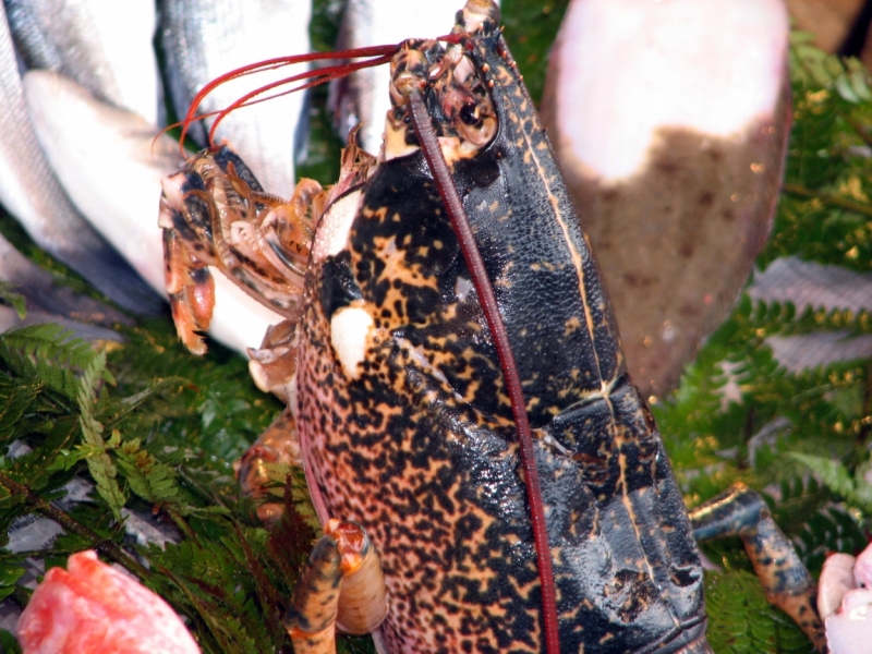 Константинополь – павшее величие.