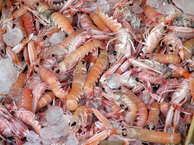 Константинополь – павшее величие.