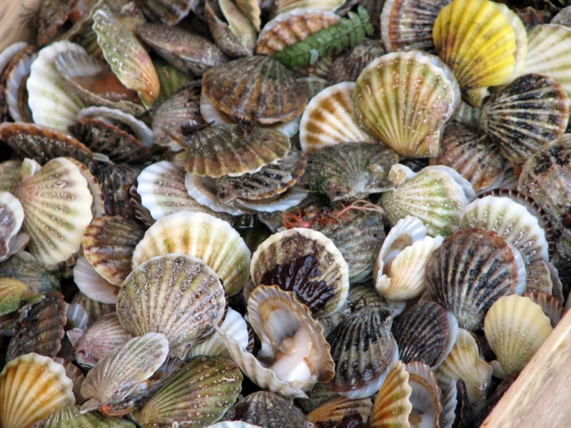 Константинополь – павшее величие.