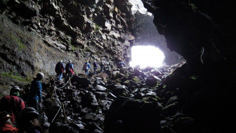 Остров Бекасов