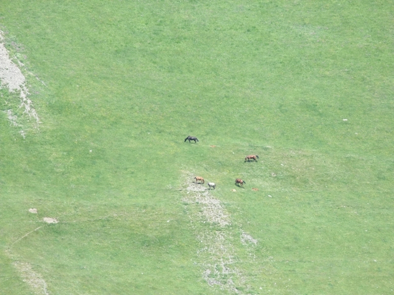 Грузия на своих двоих