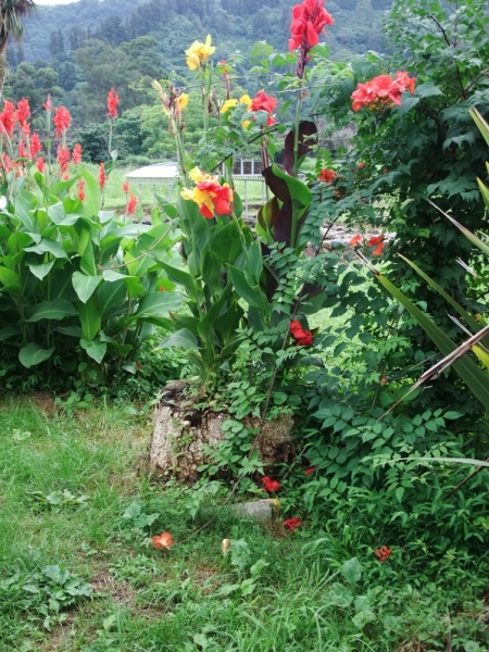 Грузия на своих двоих