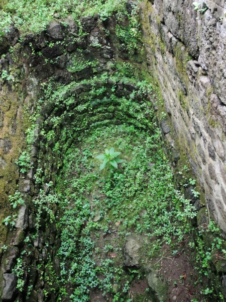 Грузия на своих двоих