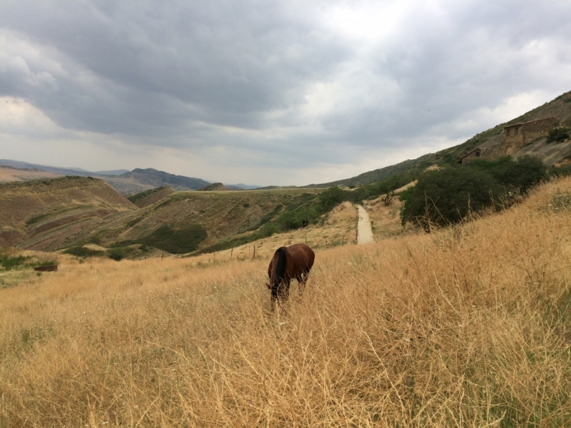 Грузия на своих двоих