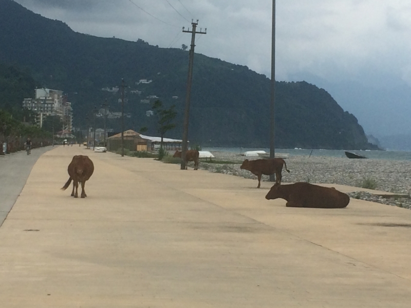 Грузия на своих двоих