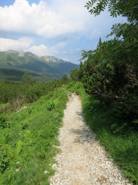 Летний отдых в Татрах, Словакия +новое 2013 год.