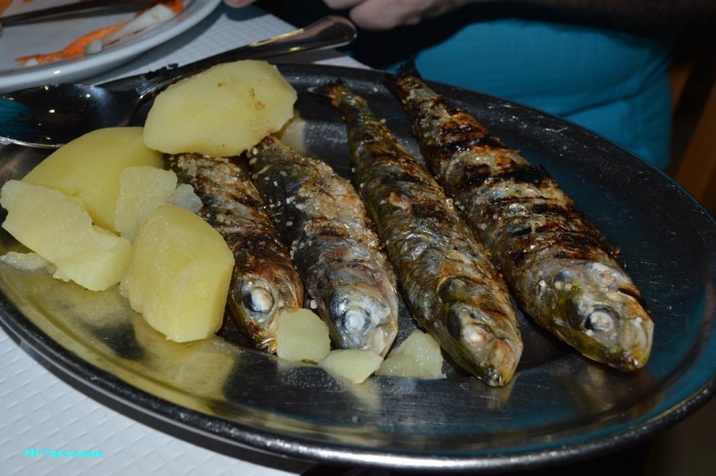 Лиссабон и Порту июнь 2015 года