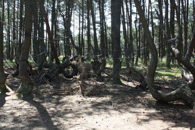 Итак, Westcity, Кёниг, Кёнигсберг.Мои три дня