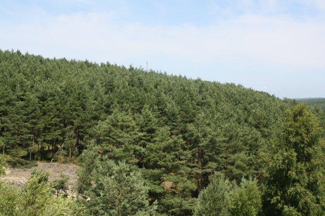 Итак, Westcity, Кёниг, Кёнигсберг.Мои три дня