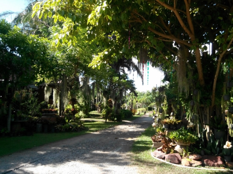 Районг (Rayong) отдых пляжи что посмотреть