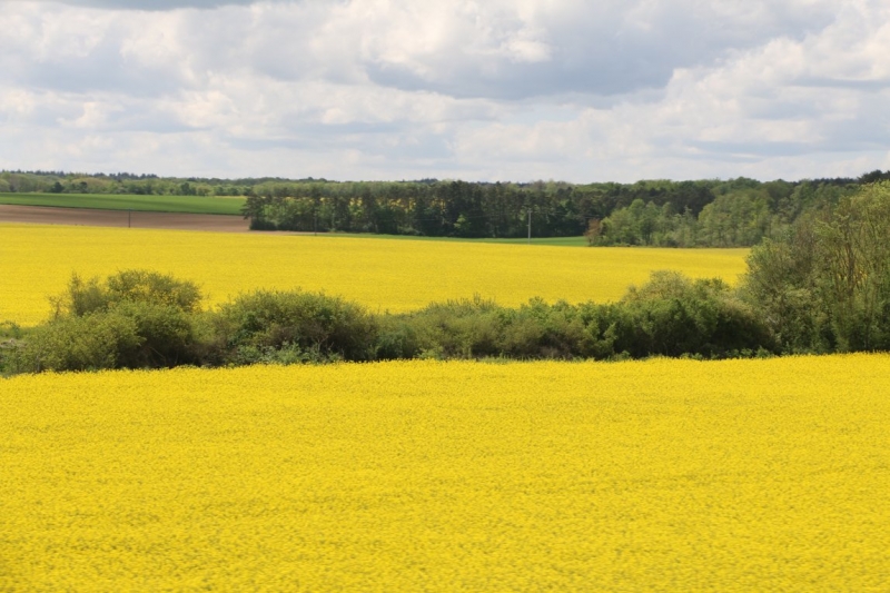 На авто из Москвы_май_2015_Нидерланды, Бельгия, озера Швейцарии и Италии, Германия