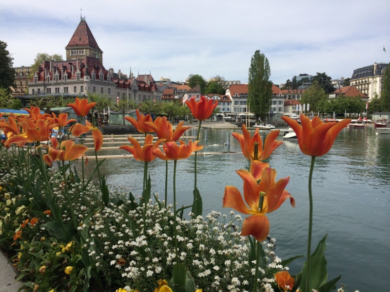 На авто из Москвы_май_2015_Нидерланды, Бельгия, озера Швейцарии и Италии, Германия