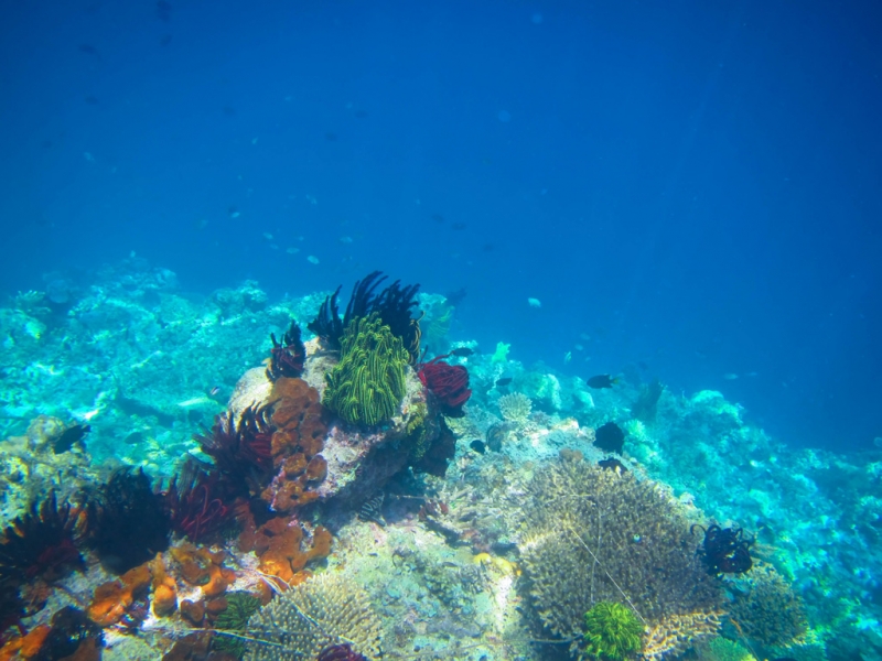 Эль-Нидо/Корон - май 15 (добавил фото)