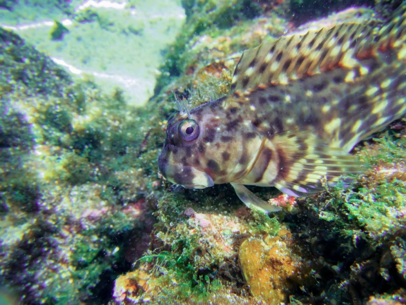 Эль-Нидо/Корон - май 15 (добавил фото)