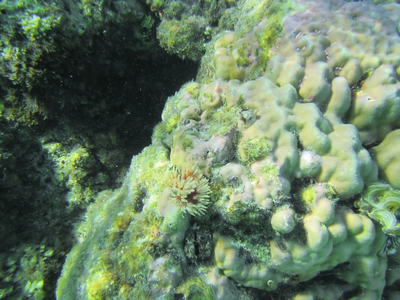 Эль-Нидо/Корон - май 15 (добавил фото)