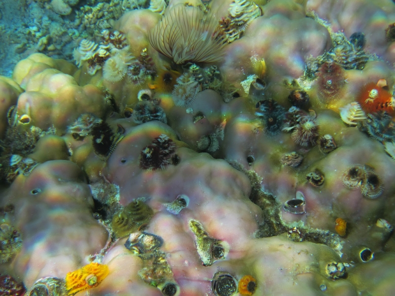 Эль-Нидо/Корон - май 15 (добавил фото)