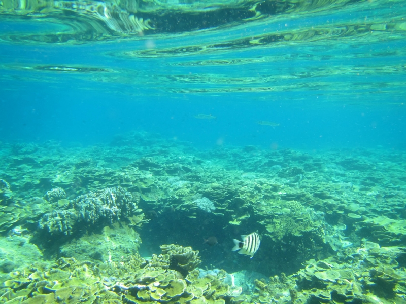 Эль-Нидо/Корон - май 15 (добавил фото)