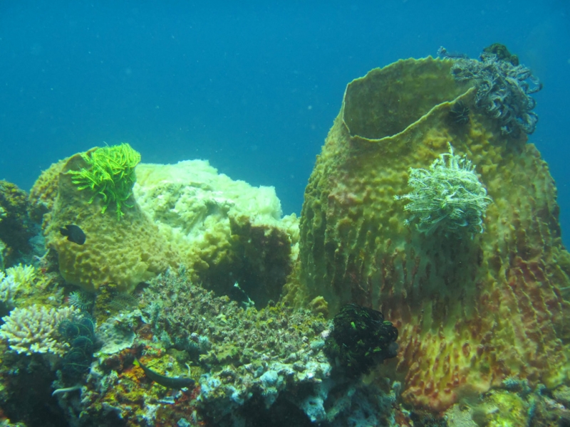 Эль-Нидо/Корон - май 15 (добавил фото)