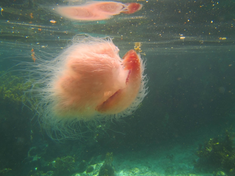 Эль-Нидо/Корон - май 15 (добавил фото)