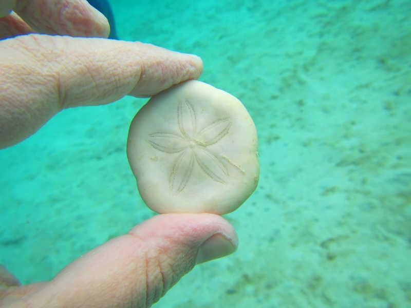 Эль-Нидо/Корон - май 15 (добавил фото)