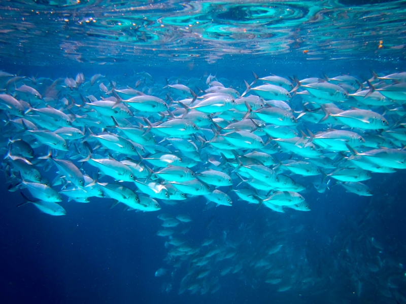 Эль-Нидо/Корон - май 15 (добавил фото)