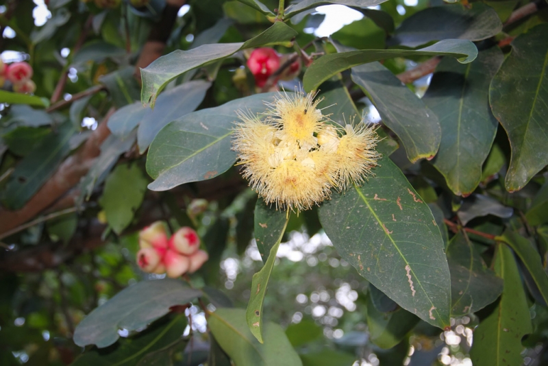 Эль-Нидо/Корон - май 15 (добавил фото)