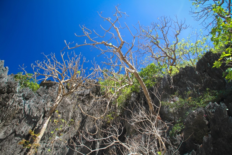 Эль-Нидо/Корон - май 15 (добавил фото)