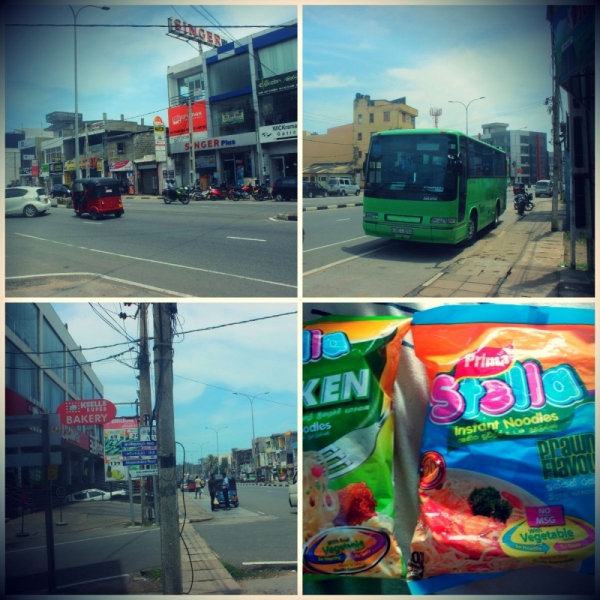 Шри-Ланка. На один раз