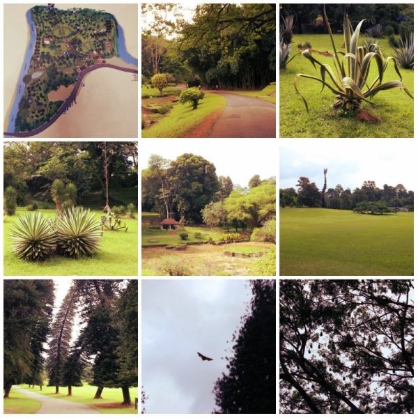 Шри-Ланка. На один раз