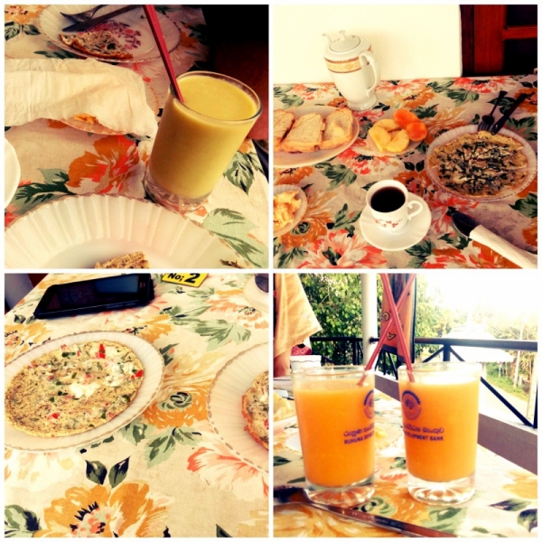 Шри-Ланка. На один раз