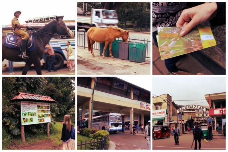 Шри-Ланка. На один раз
