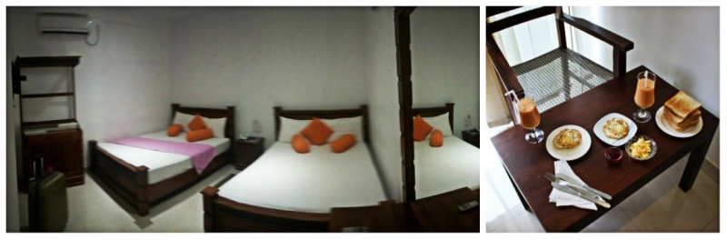 Шри-Ланка. На один раз