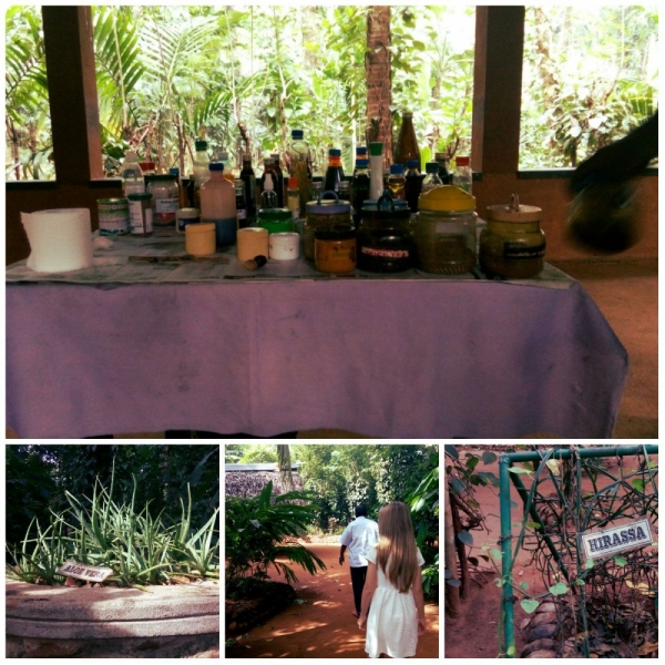 Шри-Ланка. На один раз