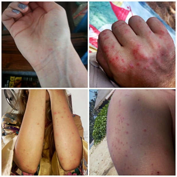 Шри-Ланка. На один раз