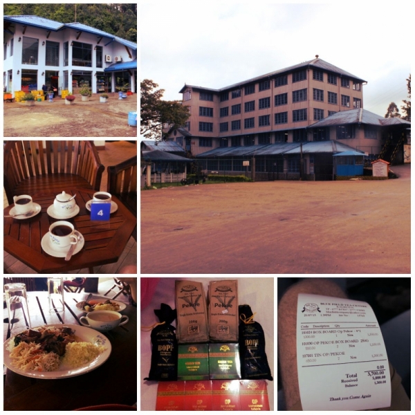 Шри-Ланка. На один раз