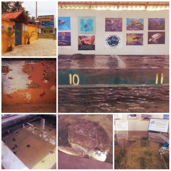 Шри-Ланка. На один раз