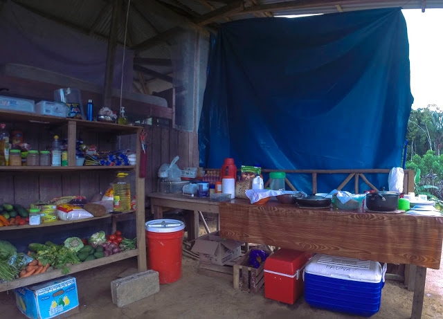 Перу амазония