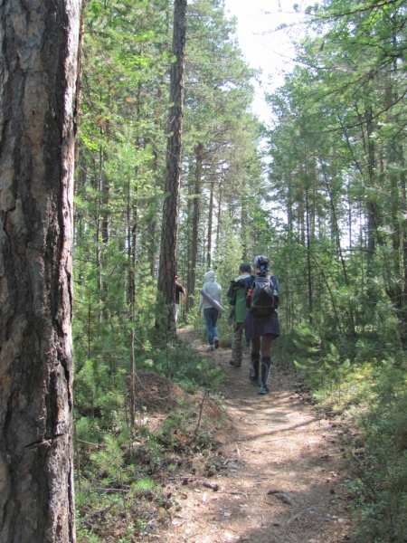 Кругобайкальский круиз за 9 дней. Микс дикой природы и комфорта.