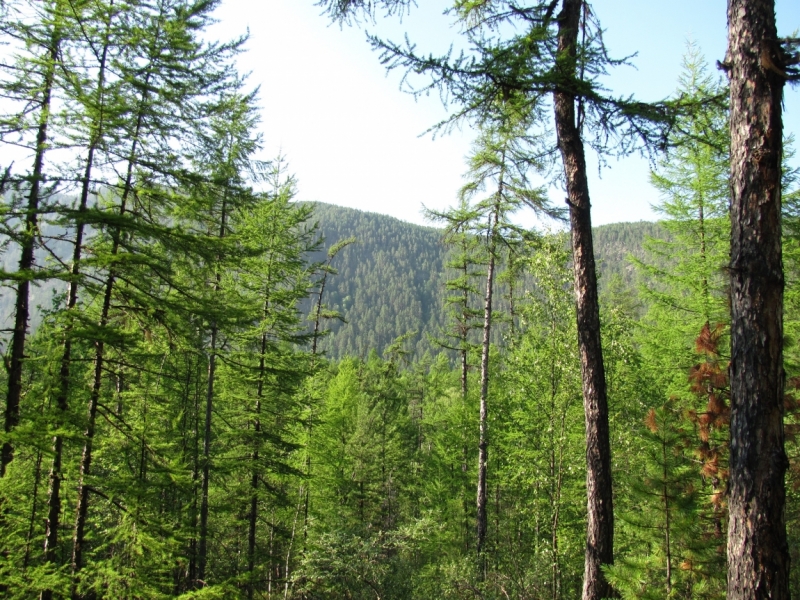 Кругобайкальский круиз за 9 дней. Микс дикой природы и комфорта.