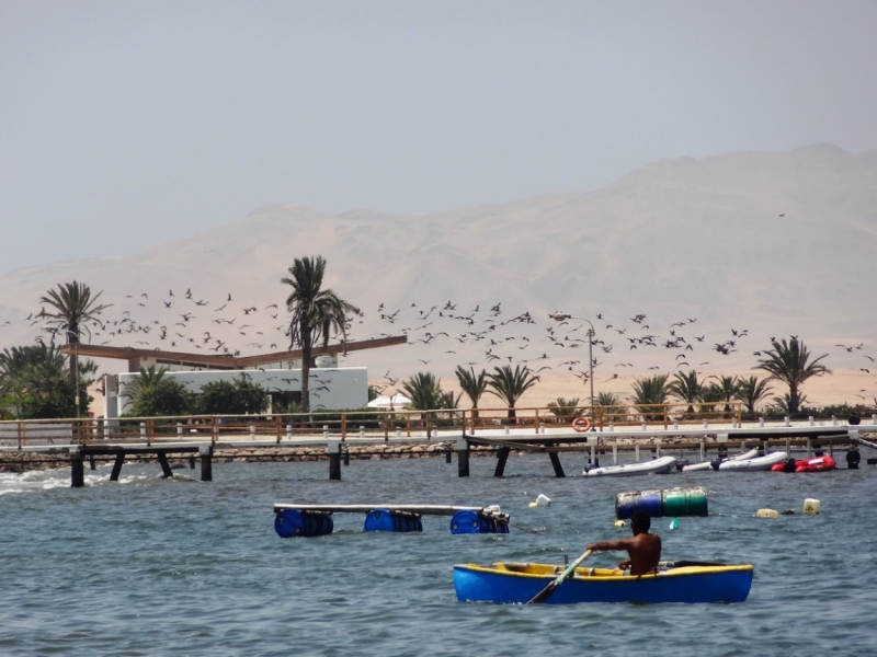 О чем молчат перуанские боги (Перу-Боливия, янв'13)