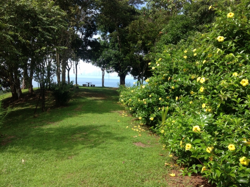 Lost in Costa Rica. Пляжи, водопады, дороги. Ojochal, Uvita etc