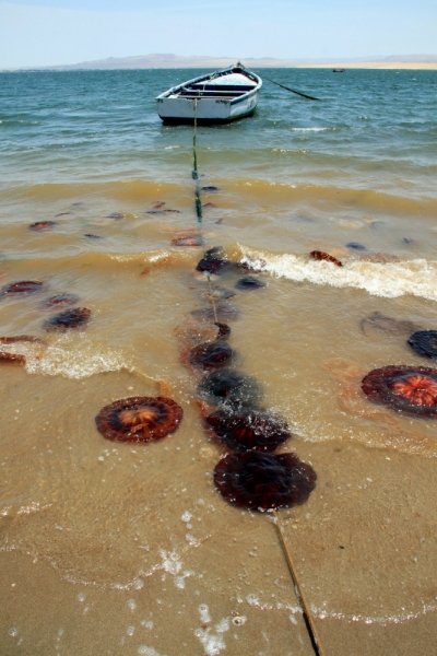 О чем молчат перуанские боги (Перу-Боливия, янв'13)