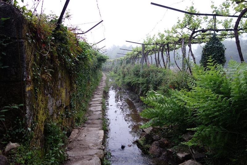 Пешком из Португалии в Испанию. Путь Сантьяго (Camino de Santiago).